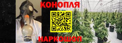 стаф Славянск-на-Кубани